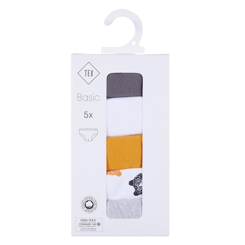 TEX Fancy Briefs For Boy 14-16 Years 5 Pieces