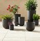 ABBASALI premium quality Grey cement (أسمنت رمادي) (2KG)