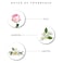 Enchanteur body mist romantic 150ml