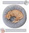 Vsell24 Fluffy Donut Style Soft Plush Machine Washable Self Calming Worming Cuddle Anti-Slip Base Circle Bed For Cats Puppies And Small Dogs Bed 60X52X46Cm