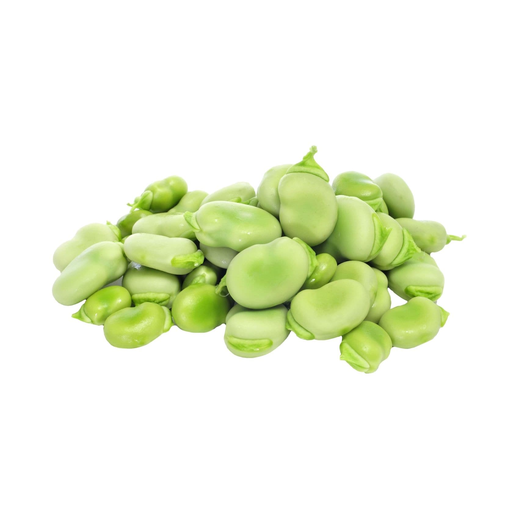 فول حبة كبيرة