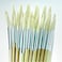Specialist Crafts  Essential Short Handled Round Hog Brush  Bulk Pack of 45