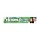 Close Up Toothpaste Triple Fresh Formula Menthol Fresh 120ml