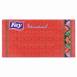 Fay International (2Ply x 100 Tissues)
