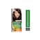 Garnier Color Naturals 4.15 Choco