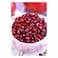 Hello Fruits Pomegranate Seeds 250g