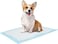 Pet Training And Puppy Pads Pee Pads For Dogs 33 X 45Cm - 100 Count Super Absorbent &amp; Leak-Proof