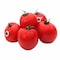 Agrico Organic Tomato