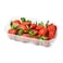 Strawberry Punnet 250g