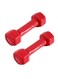 Generic Hexagonal Dumbbell Set 2 X 1Kg