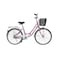 Ladies Bicycle W/Basket 24 Inch