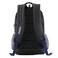 American Tourister 32cms Black Casual Backpack (Amt Fizz Sch Bag 03 - Black)