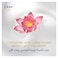 Dove Hand Wash with Lotus Flower Extract and Rice Water - 500ml