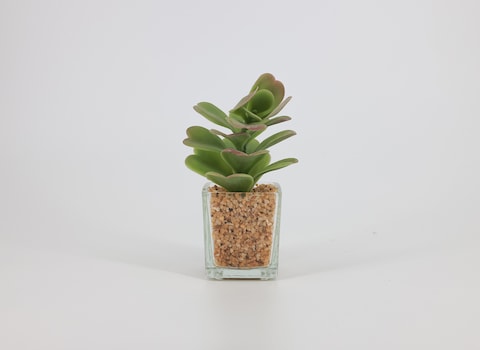 Artificial succulent bonsai-Model 09