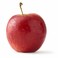 APPLE JAZZ HOLLAND KG