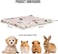 Dog blanket with cute print design, Ultra-soft pet sleeping blanket for small and medium pets, Reversible fleece blanket, Machine washable dog mat, Warm pet blanket 58 cm