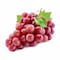 Red Grape