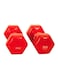Generic 2-Piece Double Dumbbells - 2 Kg 2kg