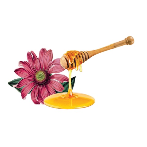 Echinacea Honey
