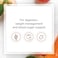 Natural Factors Apple Cider Vinegar 500Mg 180 Capsules