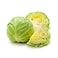 Fresh White Cabbage