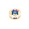 Ile De France Cheese 125g