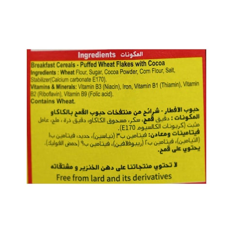 Temmy&#39;s Choco Scoops - 250 grams