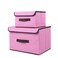 DEO KING 2-Piece Foldable Cloth Storage Box Pink