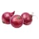 Red Indian Onion