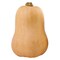 Butternut Pumpkin