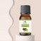 Beauty Voc Essential Moringa Oil Pure &amp; Herbal Oils - 30ML