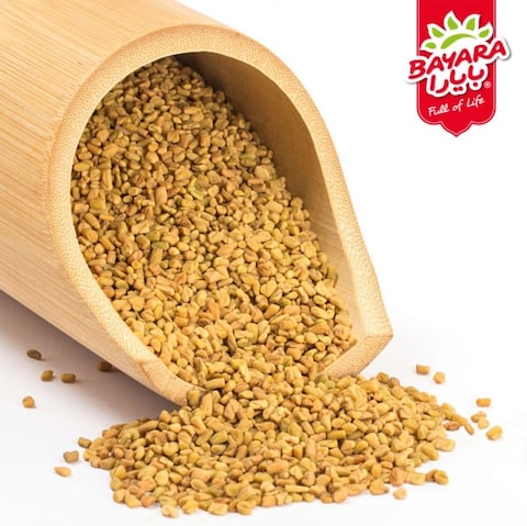 حلبة