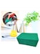 Marrkhor Pack Of 10 Green Dish Washing Sponge Scrub Cleaning Pads