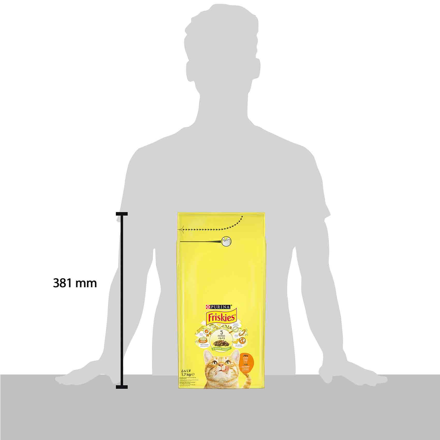 Friskies Cat Food Chicken And Vegetable 1.7 Kg product thumbnail 4