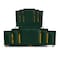 In House Paris Velvet Bed Frame - Queen - 200x160 cm - Dark Green