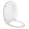 Bold Techno Soft Closing Toilet Seat &amp; Cover (36 x 45 cm)
