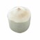 Coconut Young [Per Piece]