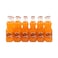 Fanta Orange Soft Drink Bottle 24&times;250ml