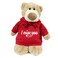 Caravaan, Supersoft, Cuddly Mascot Bear With Trendy Red Hoodie I Miss You Size 28cm Ideal For Birthdays, Celebrations, Boys, Girls Parties Soft And Cuddly