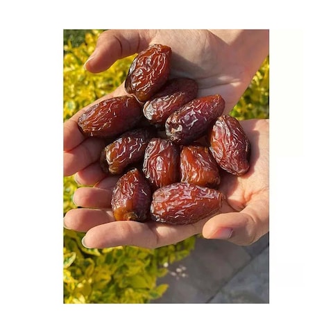 Egyptian Premium Dates - 450 Gm