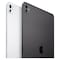 Apple iPad Pro 11 Tablet, 2TB, Silver, 16GB RAM, 11-Inch, 12 MP Camera, Ultra Retina XDR Display, Wi-Fi and 5G with Standard Glass