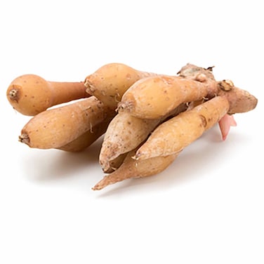 صالح العطار خولنجان