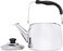 Wilson Tea Kettle With Capsule Bottom 2.5L Silver