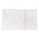 PAREX FLOOR CLEANING CLOTH BULK PCK