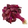 Red Spinach Leaves (Per Bunch)