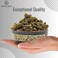 Awafi Mill Premium Guggal Resin Incense - Handpicked High-Quality Aromatic Resin (Bottle of 50 gram / 1.7 Oz)