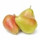 Pear Coscia (Per Kg)