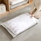 IBAMA Vacuum Storage Bags Set for Travel Clothes Pillows Blankets Comforters Bedding Compression Space Saving Zipper Seal (S-70*45cm)