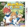 Nintendo 3DS HOMETOWN STORY