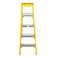 Carrefour Ladder